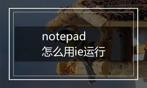 notepad怎么用ie运行