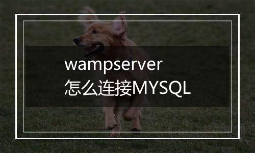 wampserver怎么连接MYSQL