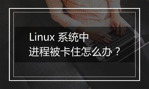 Linux 系统中进程被卡住怎么办？
