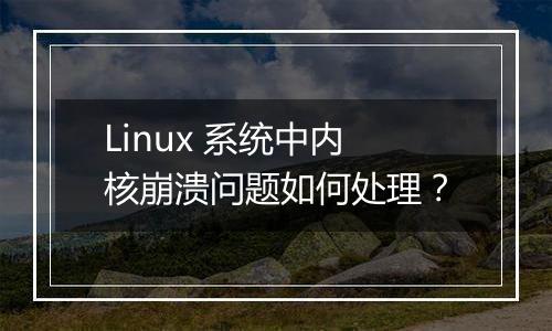 Linux 系统中内核崩溃问题如何处理？