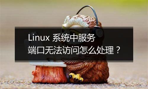 Linux 系统中服务端口无法访问怎么处理?
