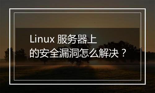 Linux 服务器上的安全漏洞怎么解决?