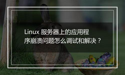 Linux 服务器上的应用程序崩溃问题怎么调试和解决?