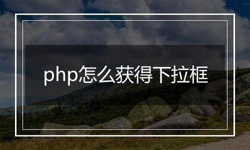 php怎么获得下拉框