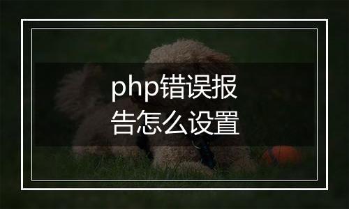 php错误报告怎么设置