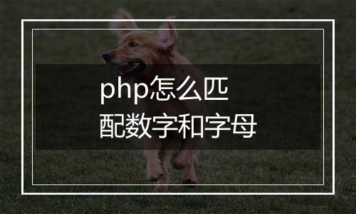 php怎么匹配数字和字母
