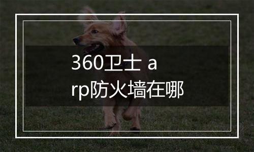 360卫士 arp防火墙在哪