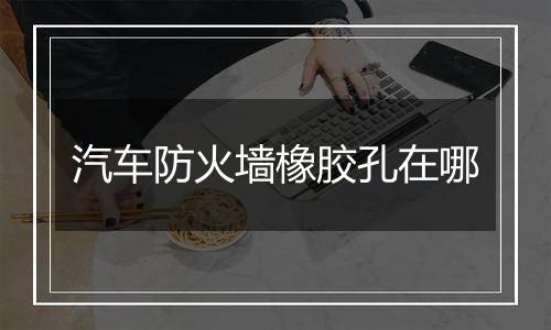 汽车防火墙橡胶孔在哪
