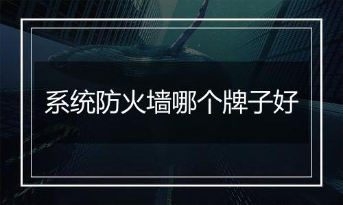 系统防火墙哪个牌子好