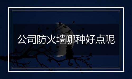 公司防火墙哪种好点呢