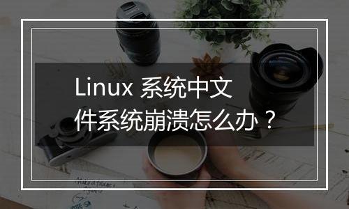 Linux 系统中文件系统崩溃怎么办?