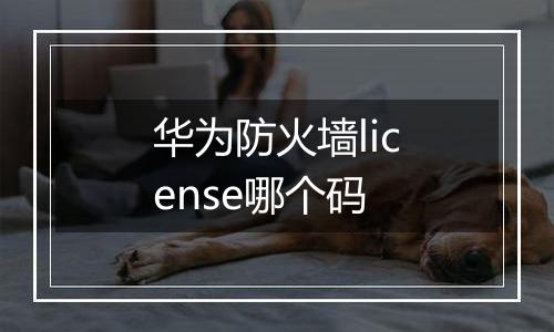 华为防火墙license哪个码