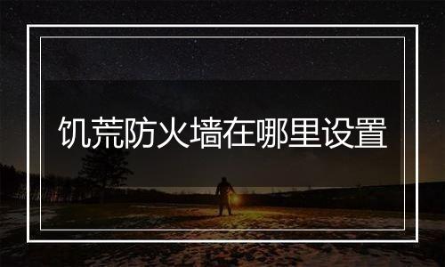 饥荒防火墙在哪里设置