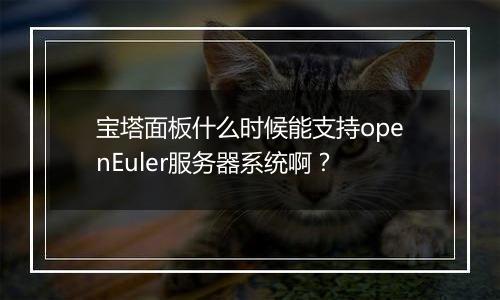 宝塔面板什么时候能支持openEuler服务器系统啊?