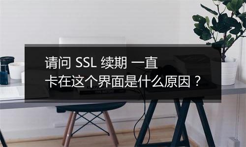 请问 SSL 续期 一直卡在这个界面是什么原因?