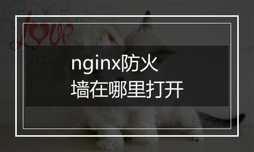nginx防火墙在哪里打开