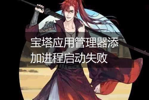 宝塔应用管理器添加进程启动失败