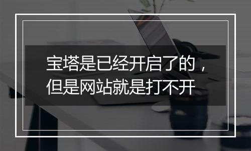 宝塔是已经开启了的,但是网站就是打不开
