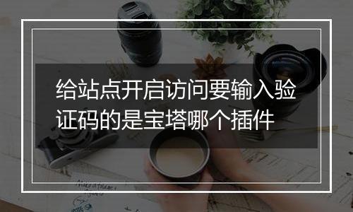 给站点开启访问要输入验证码的是宝塔哪个插件