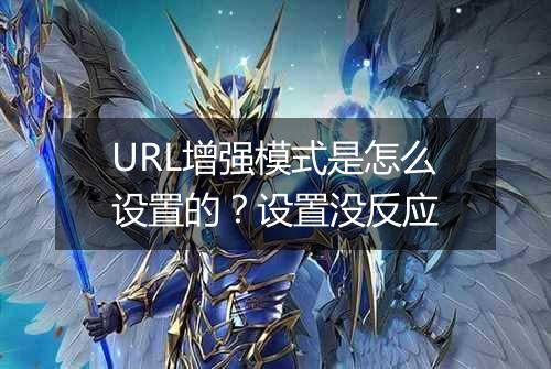URL增强模式是怎么设置的?设置没反应