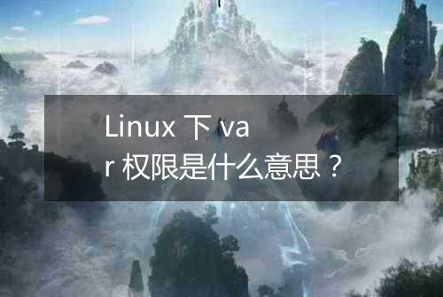 Linux 下 var 权限是什么意思?