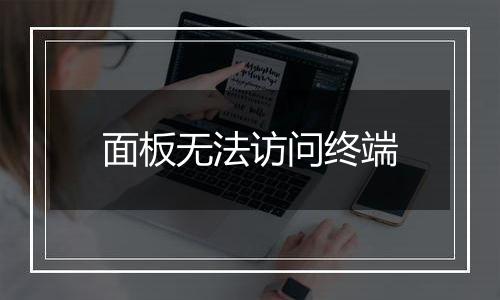 面板无法访问终端