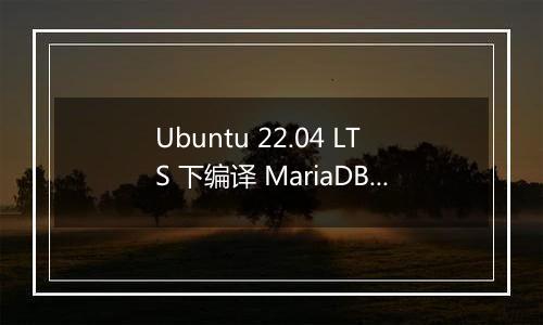 Ubuntu 22.04 LTS 下编译 MariaDB 10.6 后存在问题