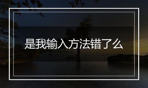 是我输入方法错了么