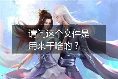 请问这个文件是用来干啥的?