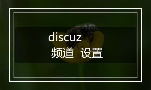 discuz  频道  设置