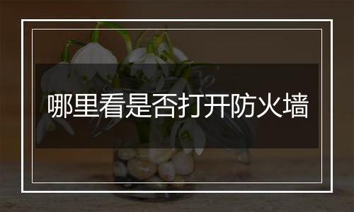 哪里看是否打开防火墙