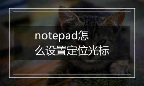 notepad怎么设置定位光标