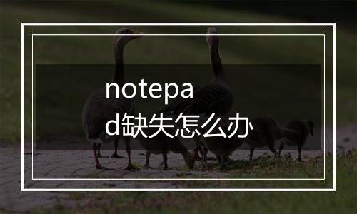 notepad缺失怎么办