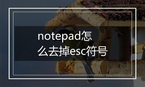 notepad怎么去掉esc符号