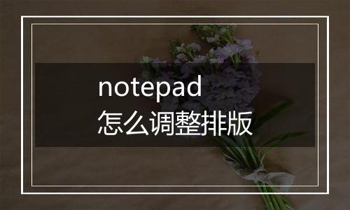 notepad怎么调整排版