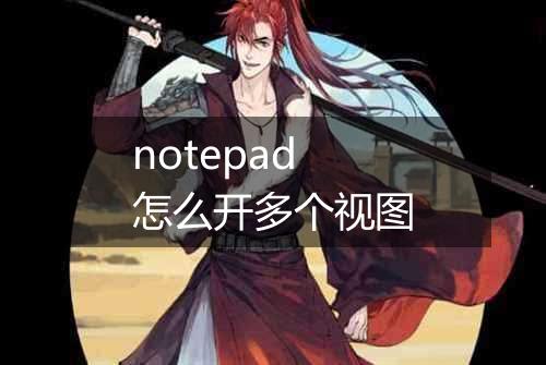 notepad怎么开多个视图