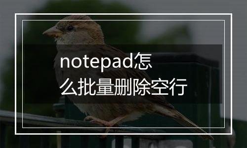 notepad怎么批量删除空行