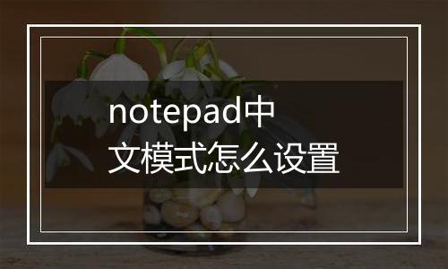 notepad中文模式怎么设置