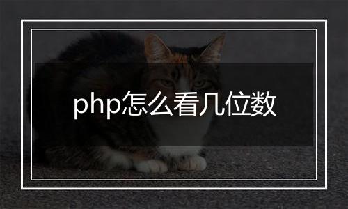 php怎么看几位数