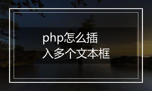 php怎么插入多个文本框