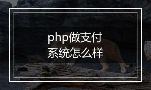 php做支付系统怎么样
