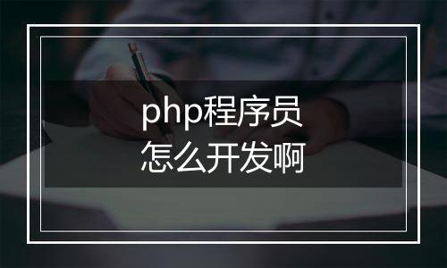 php程序员怎么开发啊