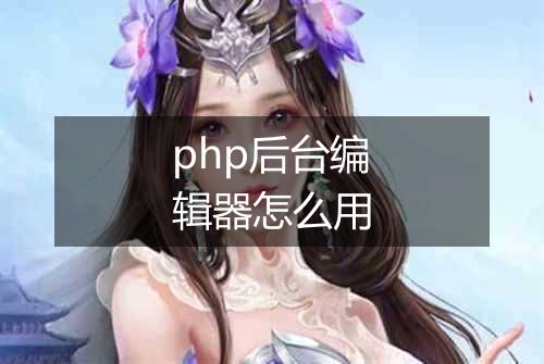 php后台编辑器怎么用