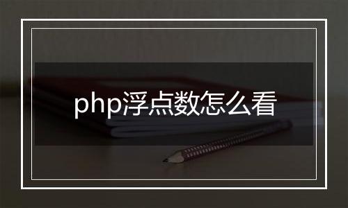 php浮点数怎么看