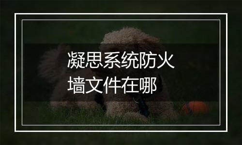 凝思系统防火墙文件在哪