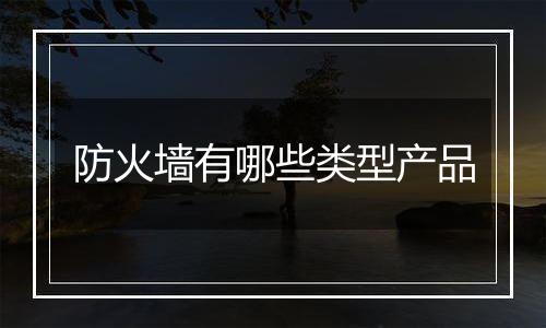 防火墙有哪些类型产品
