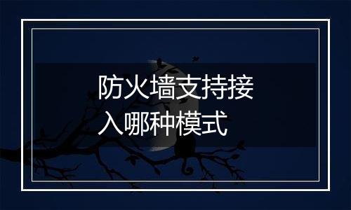 防火墙支持接入哪种模式
