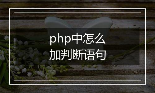 php中怎么加判断语句