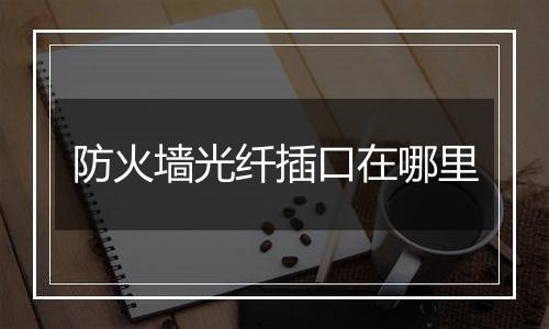 防火墙光纤插口在哪里