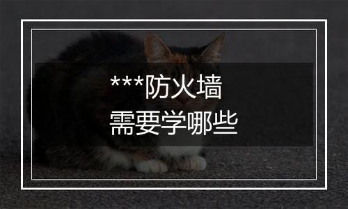 ***防火墙需要学哪些